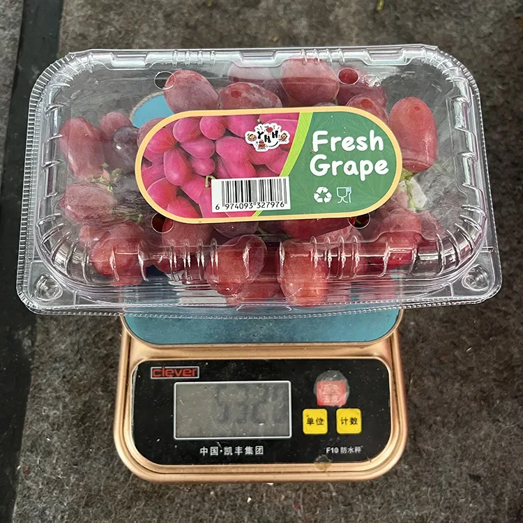 Thumela kumazwe angaphandle kwiBanga eliFresh Crimson Iidiliya ezingenazimbewu