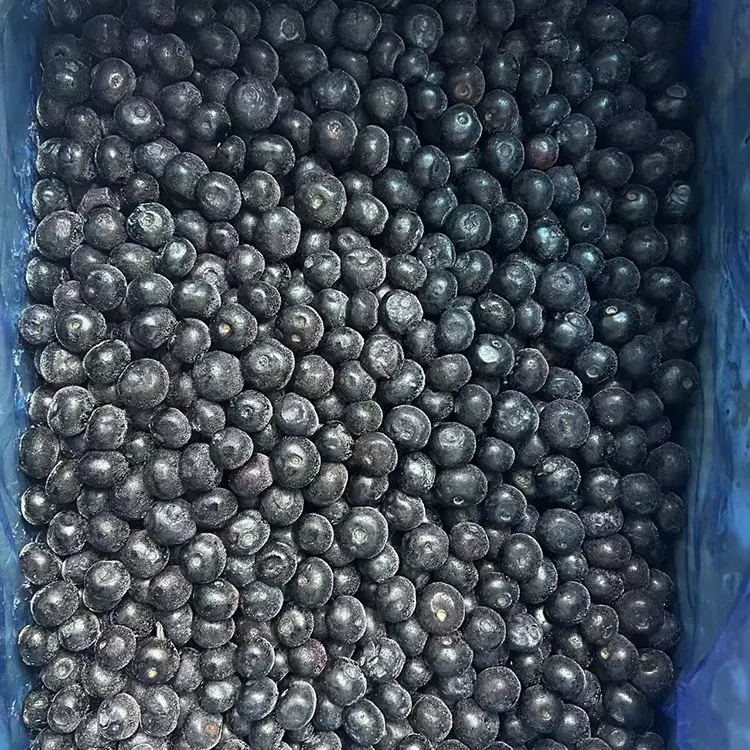 Umkhenkce weBlueberry Premium IQF Blueberries