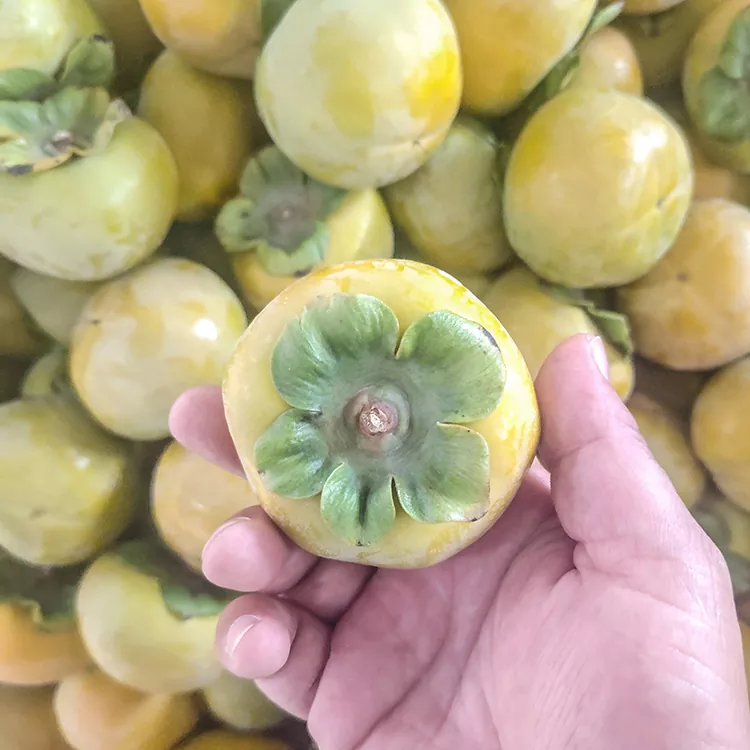 IPersimmon entsha eKrisimesi