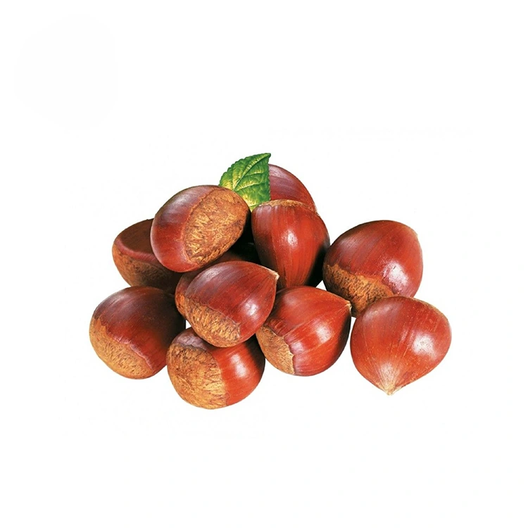 IiChestnuts ezisemgangathweni