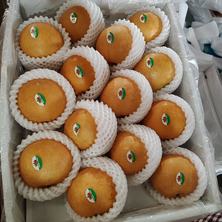 IiPremium Shingo Pears