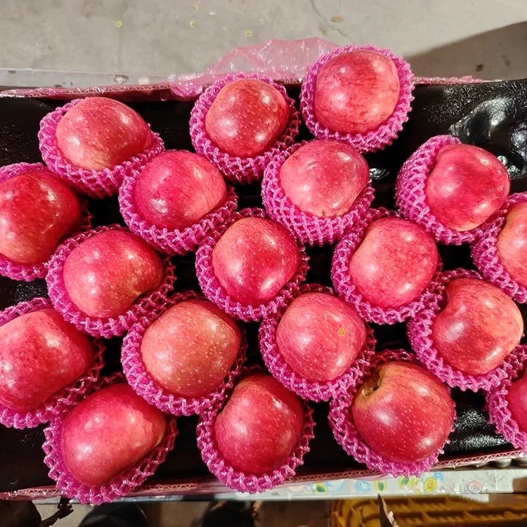 Superior Fresh Jiguan Apile